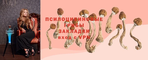стафф Медногорск