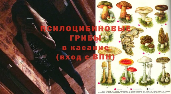 a pvp Медвежьегорск