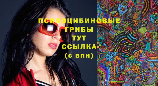 стафф Медногорск