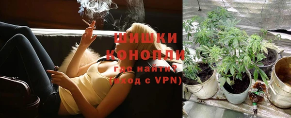прущие крисы Мегион