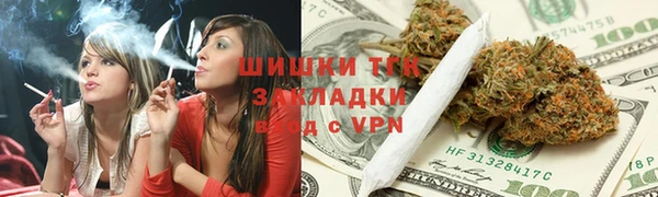 стафф Медногорск