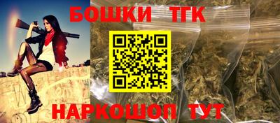 индика Волжский