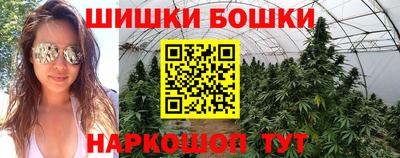 индика Волжский