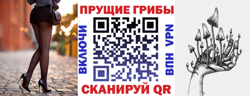 Галлюциногенные грибы Psilocybine cubensis Рославль