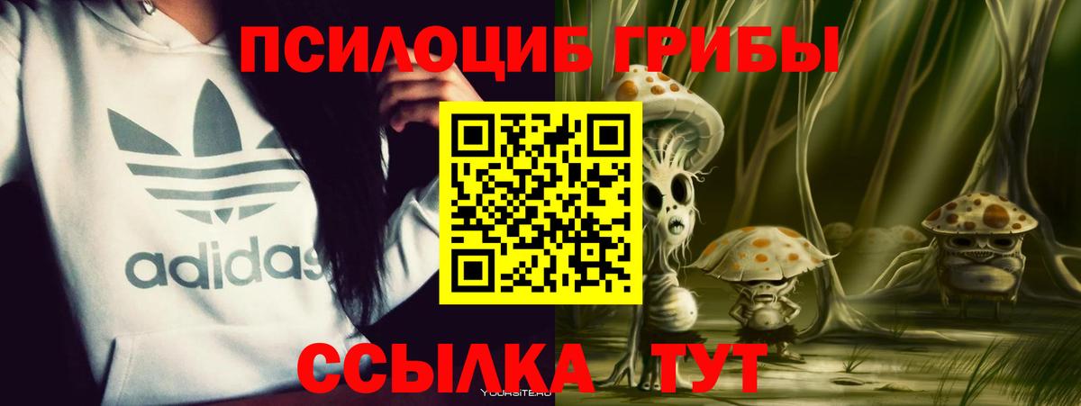 Рославль  Галлюциногенные грибы Psilocybe  Вход с VPN 